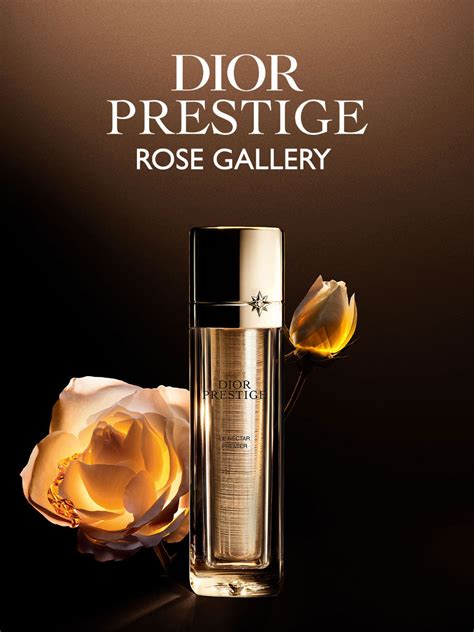 dior prestige rose gallery.